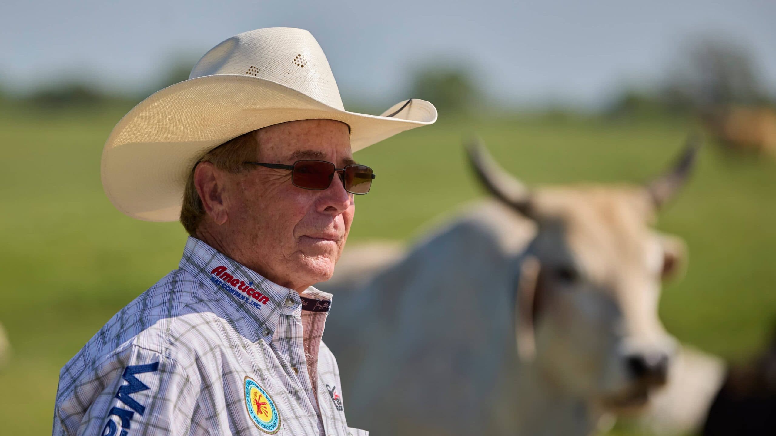 Picture of Don Gay looking at his cattle with them blurred out.